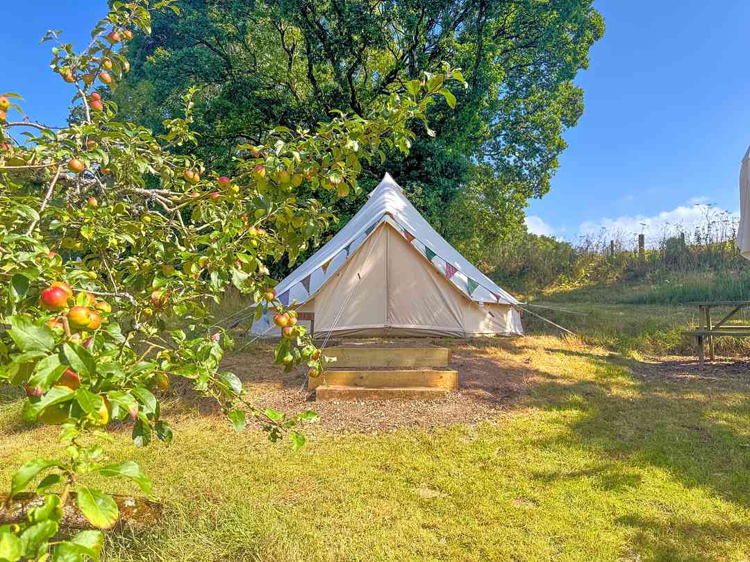 The Orchard Retreat （经理于2025年8月8日添加的照片）