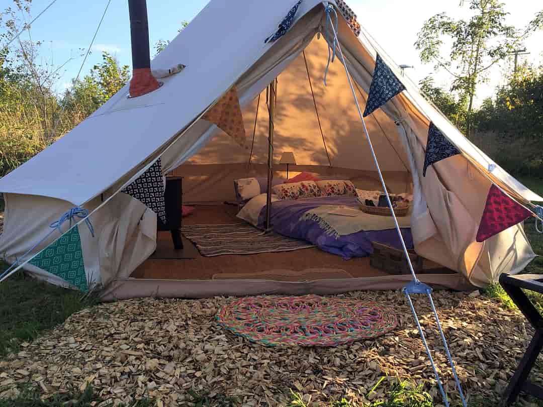 Moon Dance Glamping and Camping: All set for guests