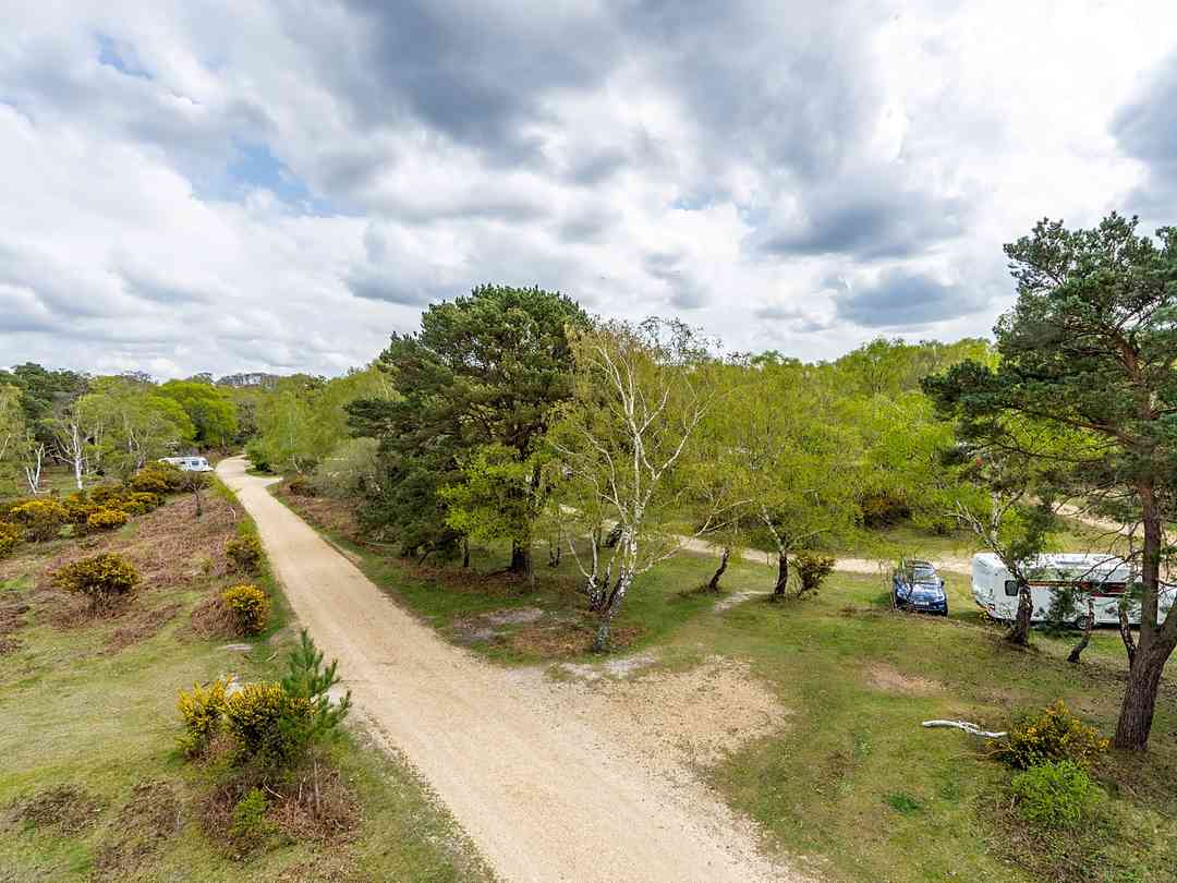 Matley Wood Caravan and Camping Site: Forest pitches