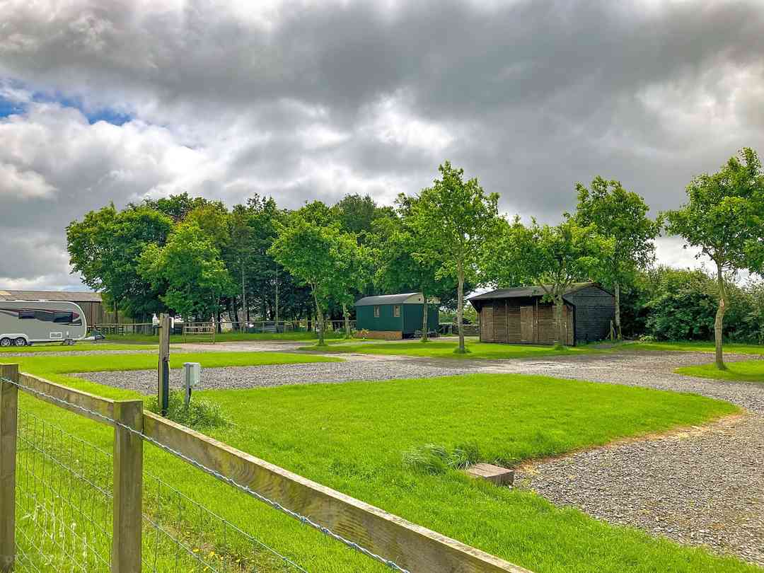 Pitches sheltered by trees (photo added by manager on 11/07/2025) Woodhead Farm: Pitches sheltered by trees (photo added by manager on 11/07/2025)