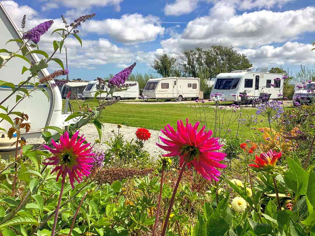 Parkland Caravan and Camping Site: Fully serviced gravel touring pitch (photo added by manager on 08/08/2022)