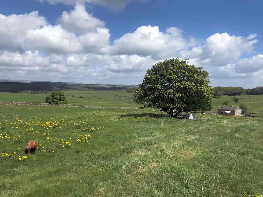 Burrs Manor Wild Camping: Views across open fields
