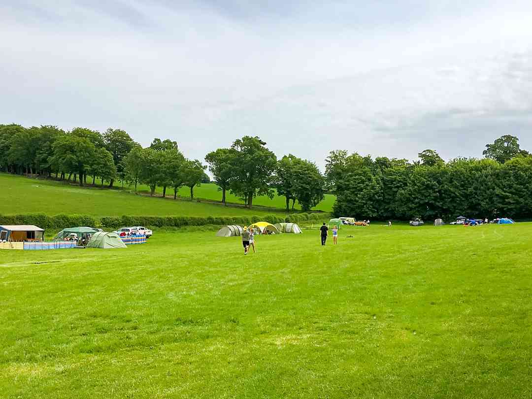 Cedar Valley: The paddock (photo added by manager on 22/08/2022)