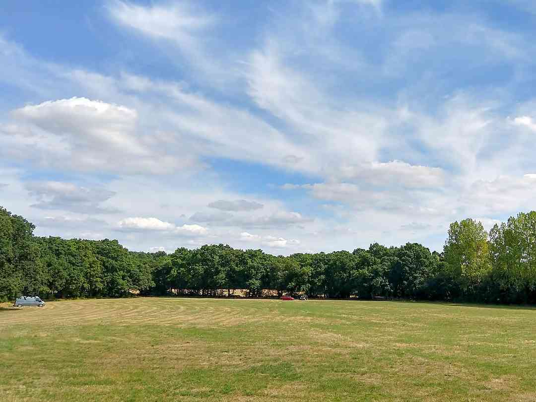 Clayford Field: Grass pitches surrounded by trees (photo added by manager on 05/06/2023)