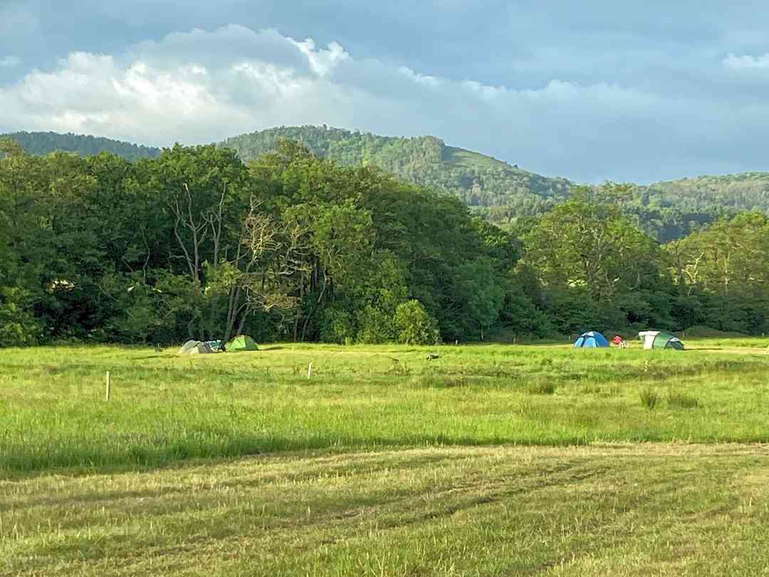 Visitor image of the beautiful South Downs views (photo added by manager on 02/08/2024) Clarefield Copse Wild Camping: Visitor image of the beautiful South Downs views (photo added by manager on 02/08/2024)