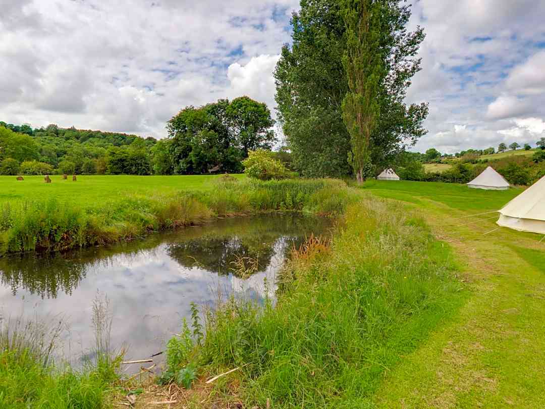 Cotswolds Camping (фото добавлено менеджером 02.09.2022)