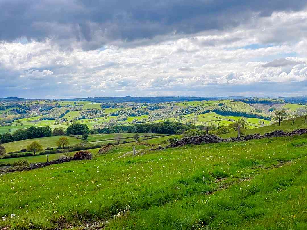 The Racecourse Retreat