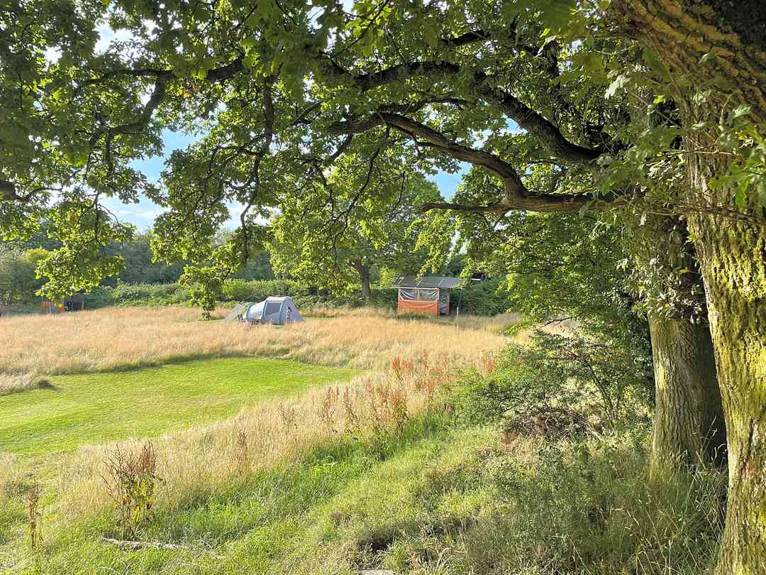 Willow Acres Campsite: View from the rope swing. (photo added by david_r250484 on 16/08/2022)