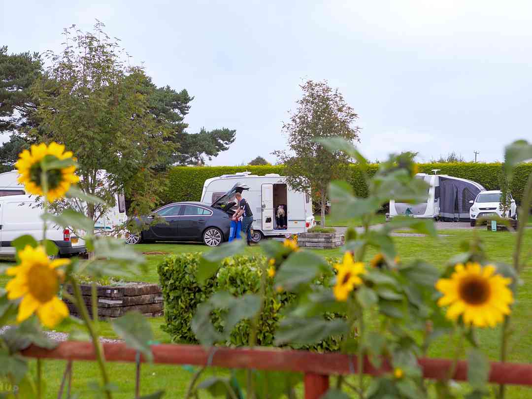 Elm Cottage Touring Park