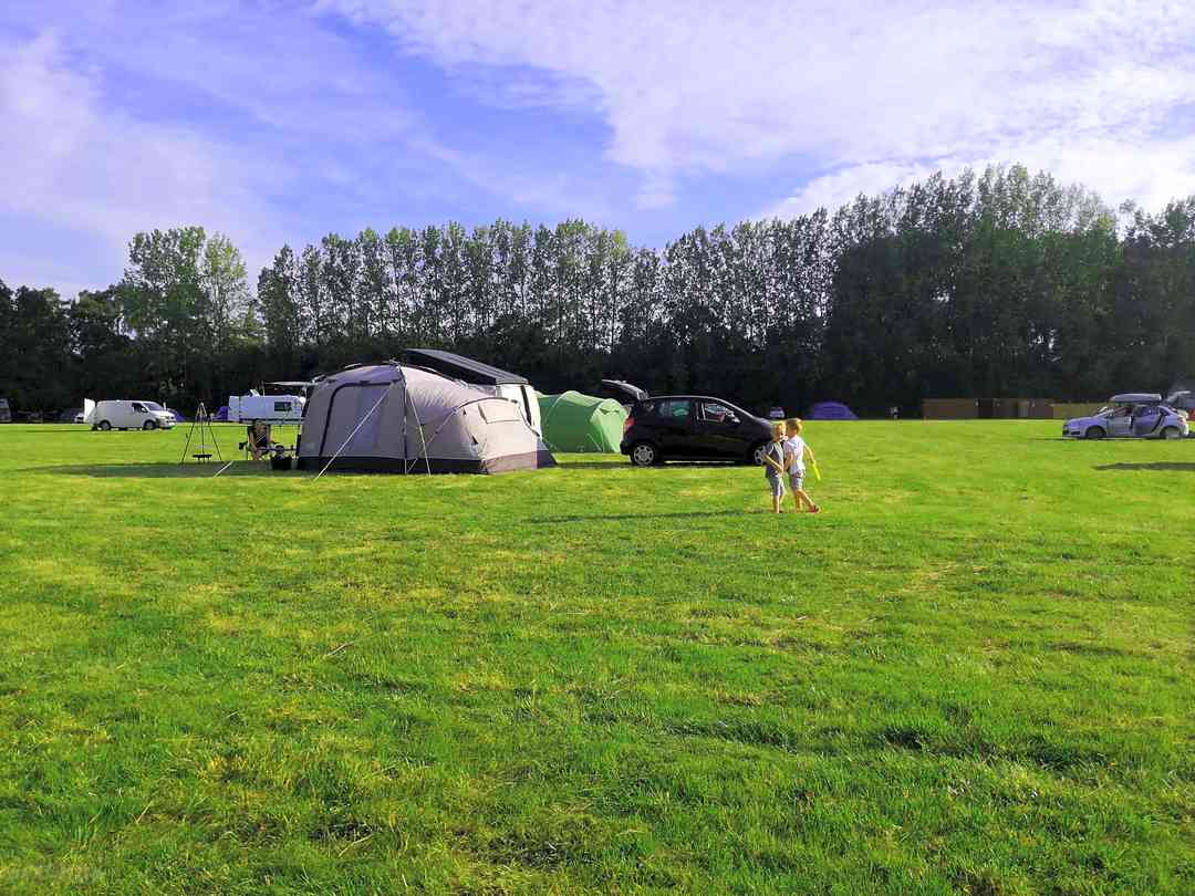 Clayford Field: Tent pitch at Clayford field camping (photo added by manager on 10/05/2021)