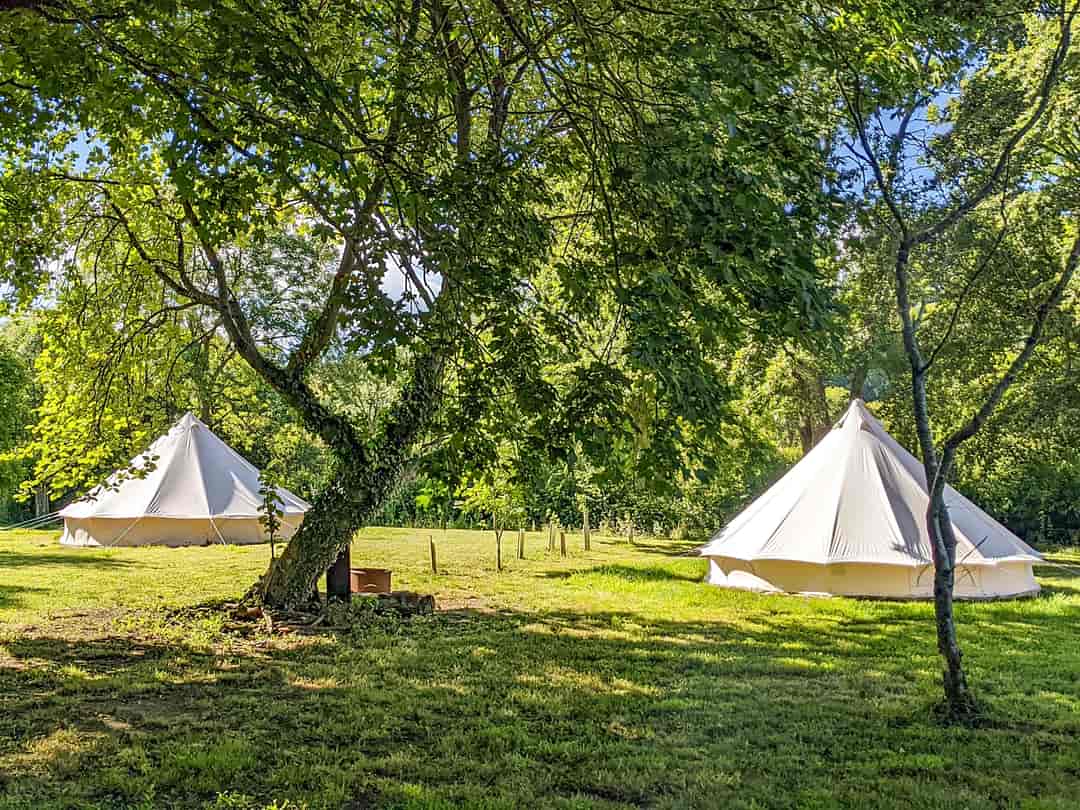 North Down Orchard: Bell tents (photo added by manager on 15/09/2022)