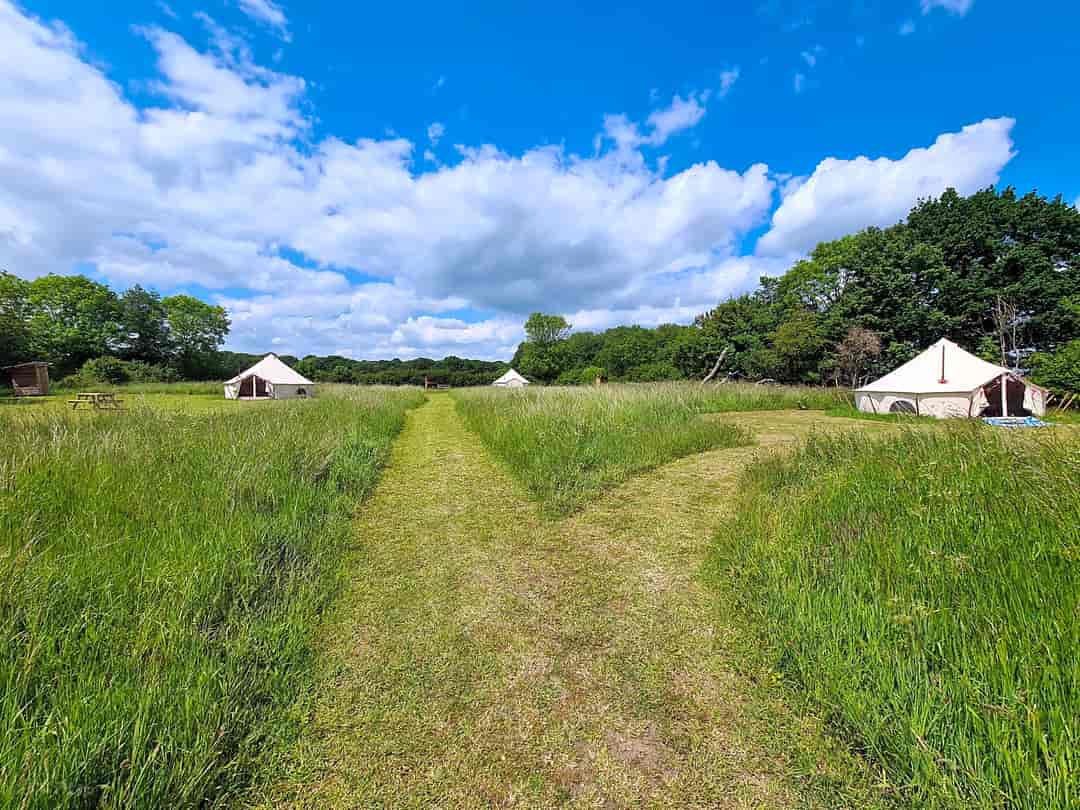 Driftways Glamping and Camping: The site
