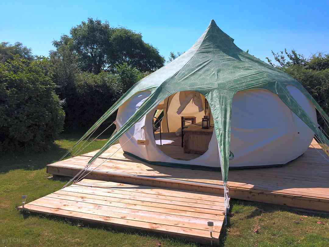 Onion tent online