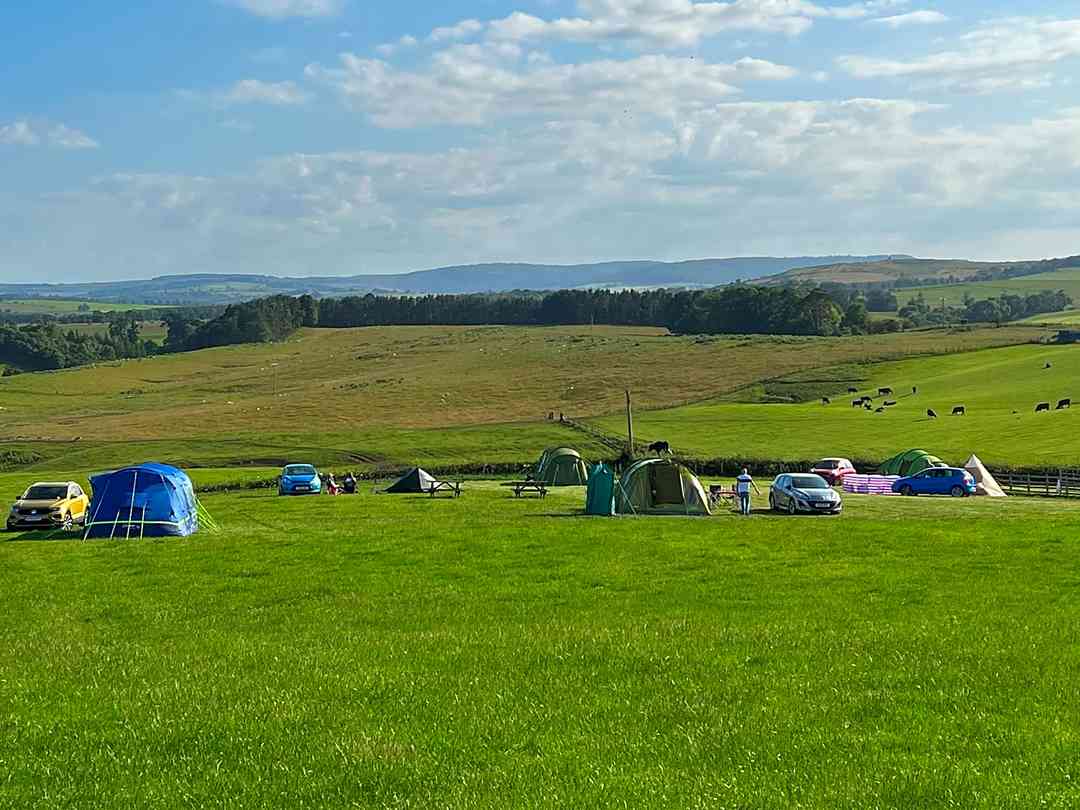 Working farm campsites cheap