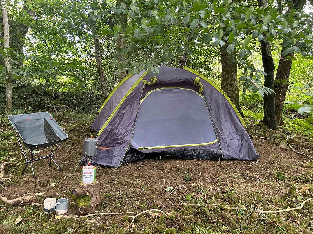 Tesco direct tents hot sale
