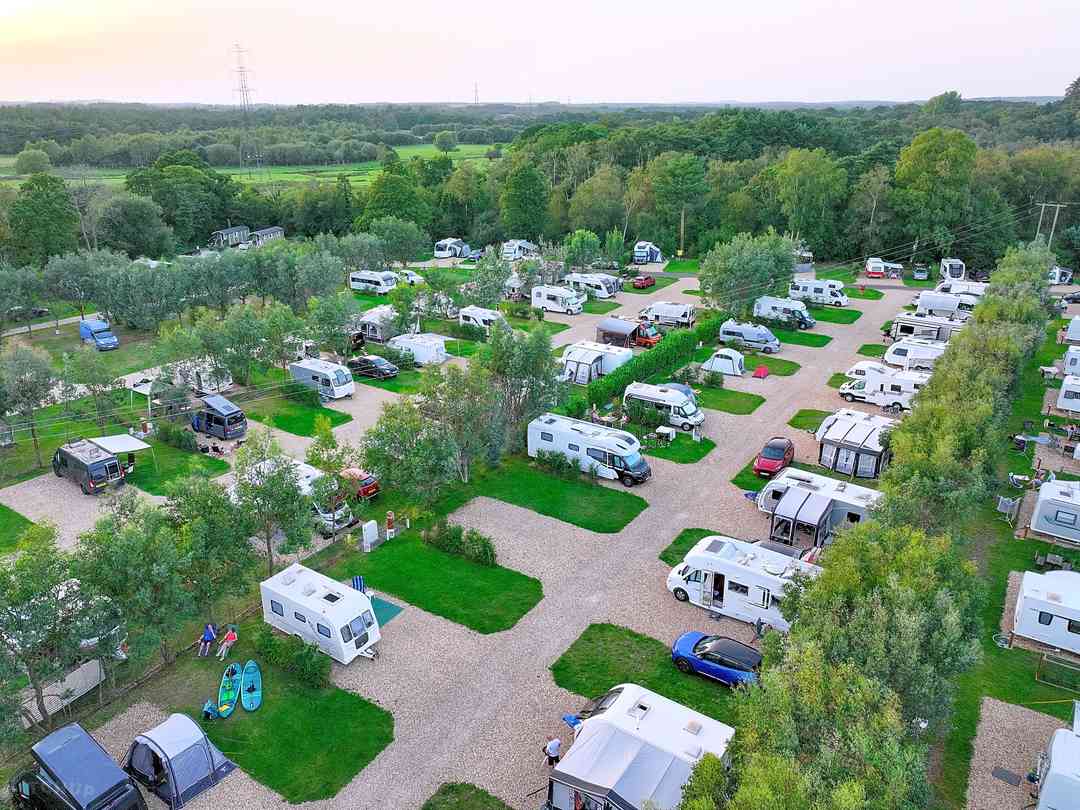 Campsites in the new forest with electric deals
