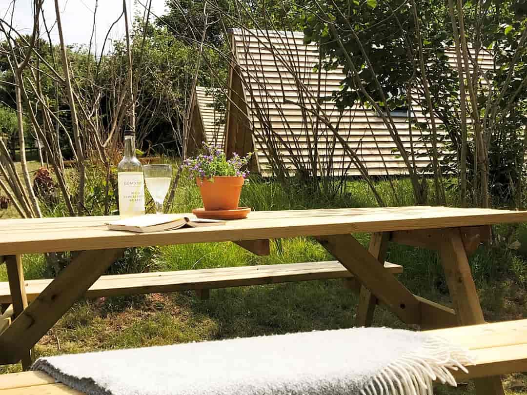 The Hen's Dens at Orchard Organic Farm: Outdoor seating area