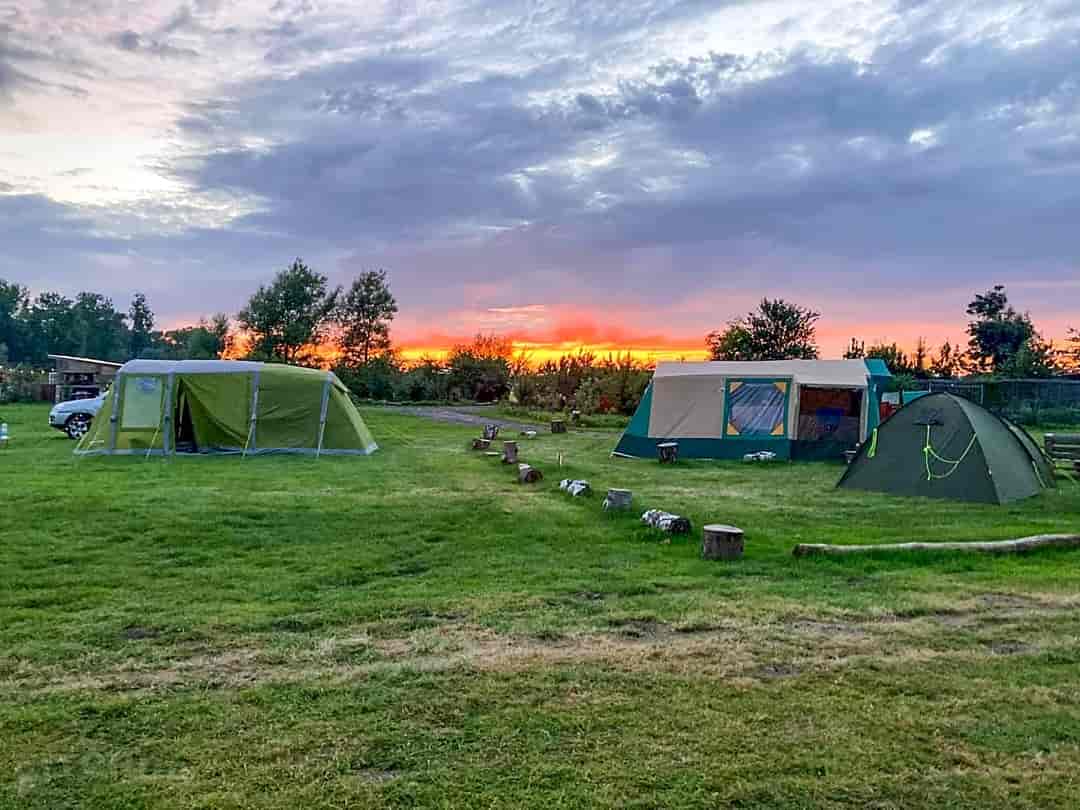 Bobsfield Campsite: Tent pitches