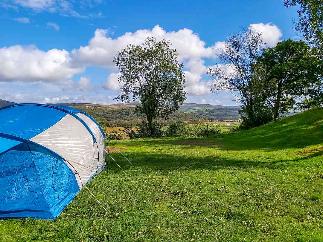 Moss Side Farm Campsite