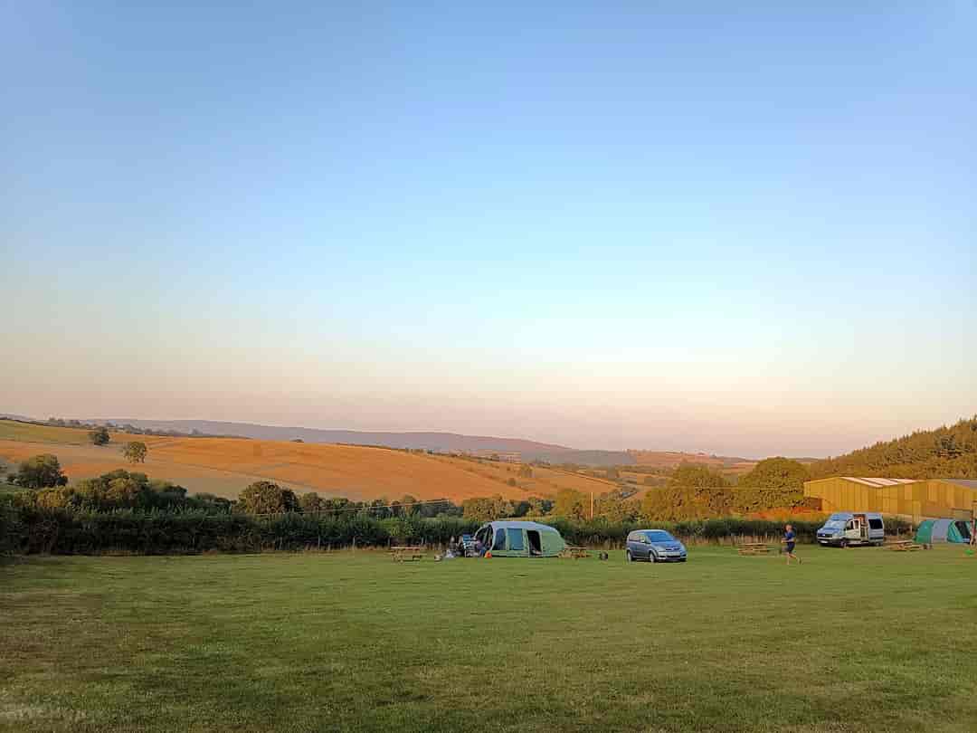Woodbatch Camping and Glamping: Evening view