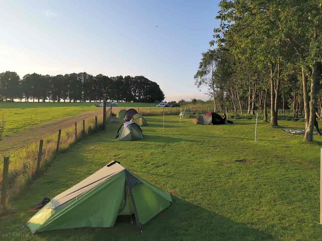 Drymen Camping: Standard pitches (photo added by manager on 19/08/2022)