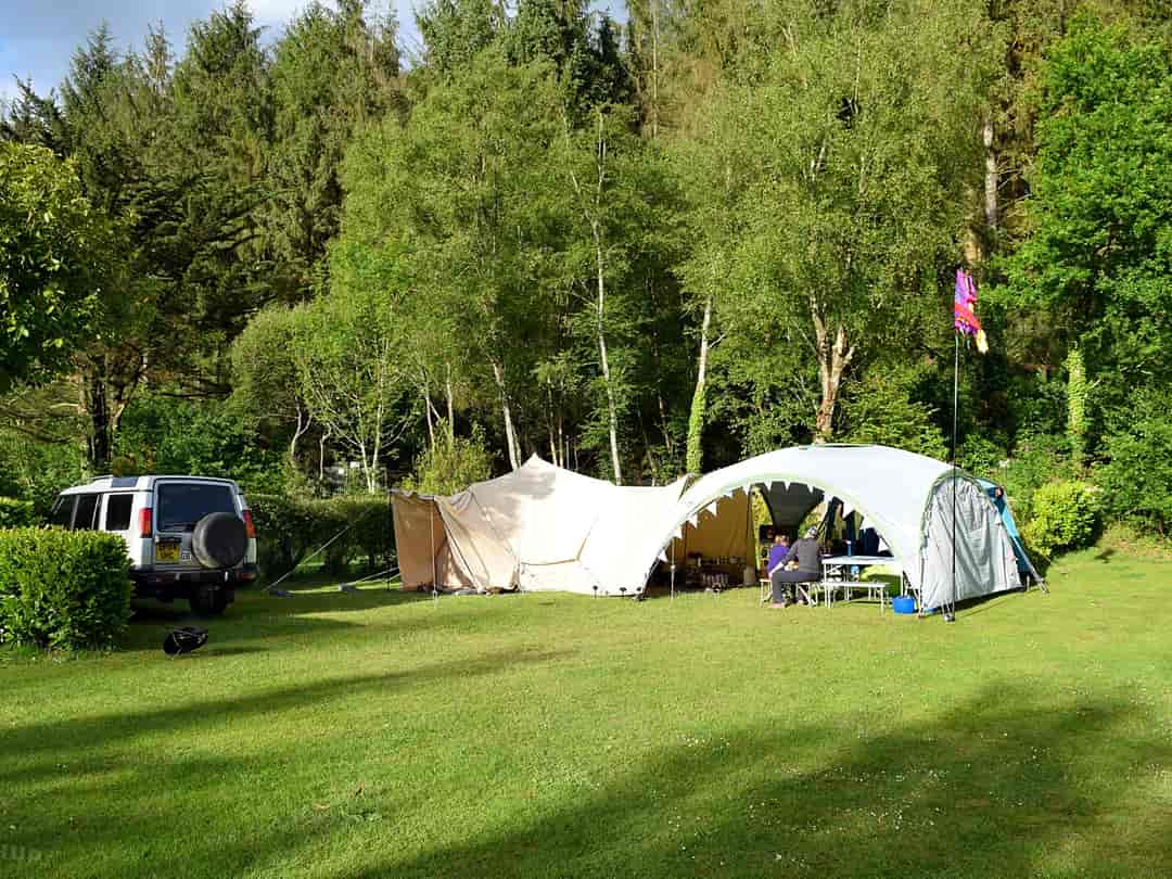 Camping La Pointe: Electric optional grass pitch
