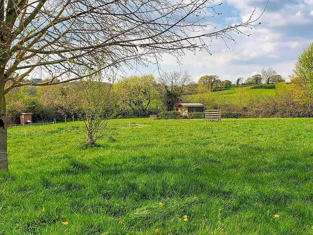 Walnut Tree Farm: Plenty of space for all