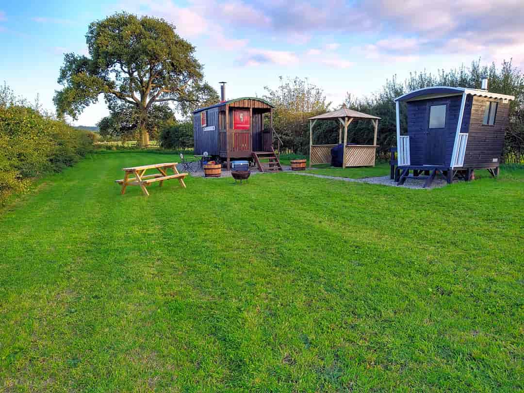 The Shepherd's Loft: Shepherd's hut set in its own private paddock