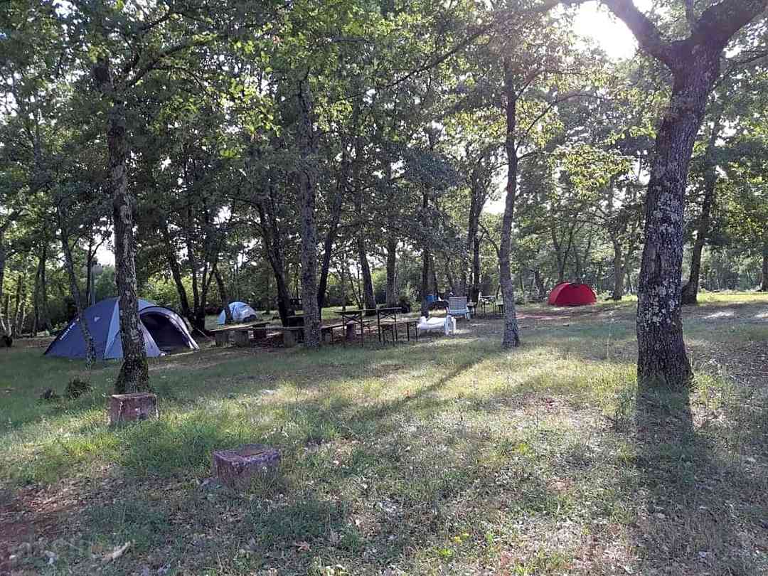 Bikers Camp: View through the woods
