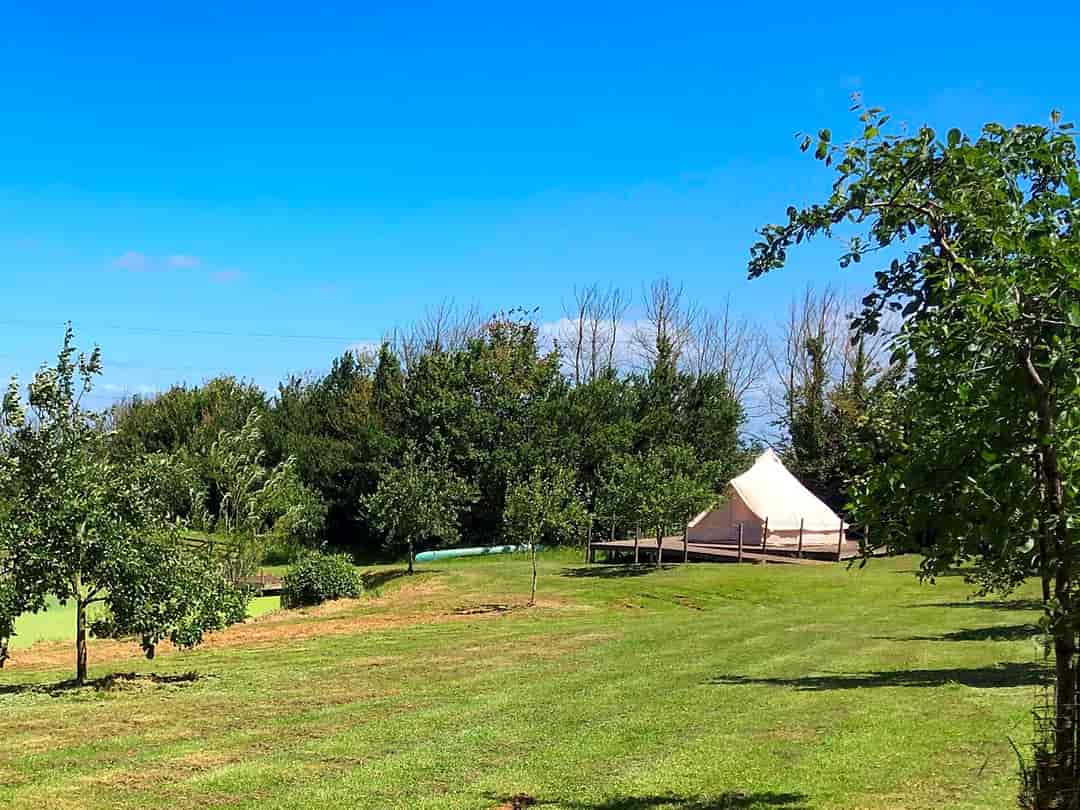 Huntstile Organic Farm: Bell tent includes a king-size bed and two mattress