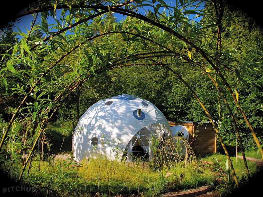 The Dome Garden Coleford Pitchup