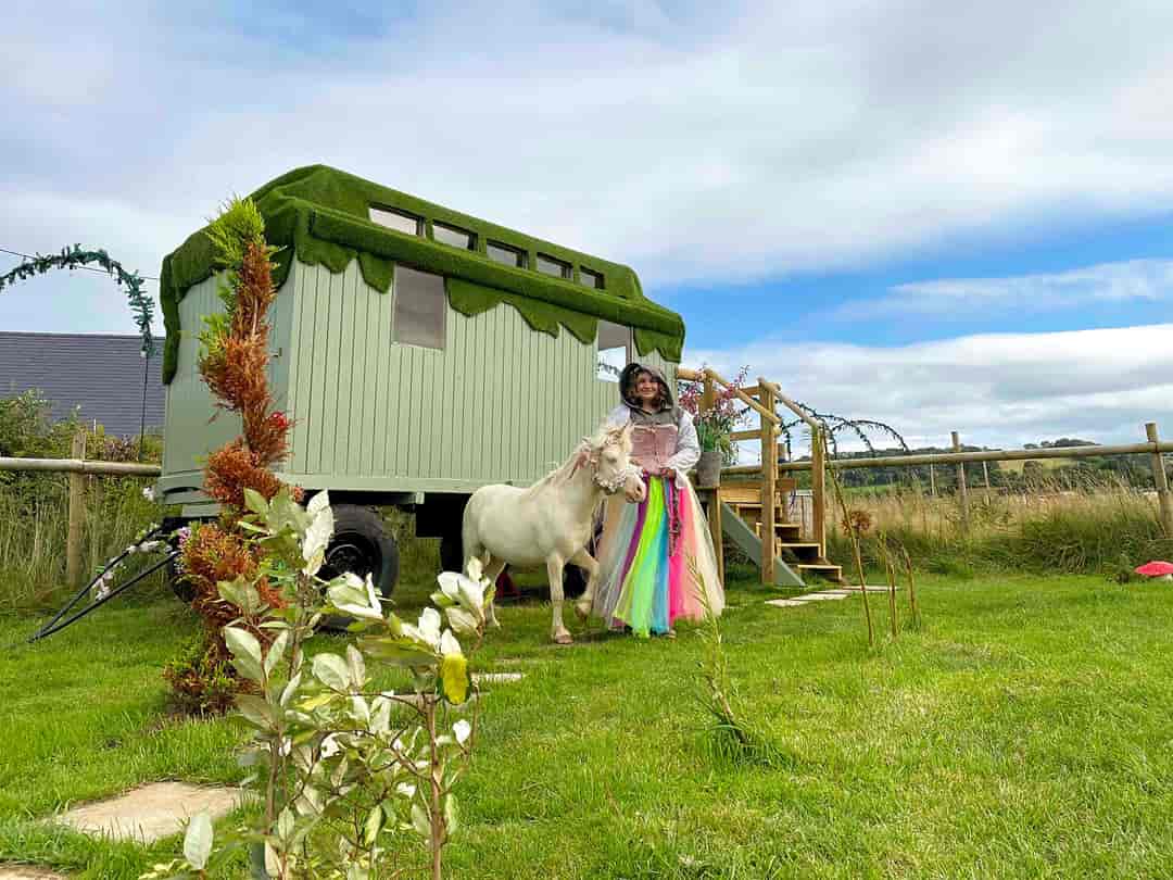 Somerset Reindeer Ranch: Fairy Wagon