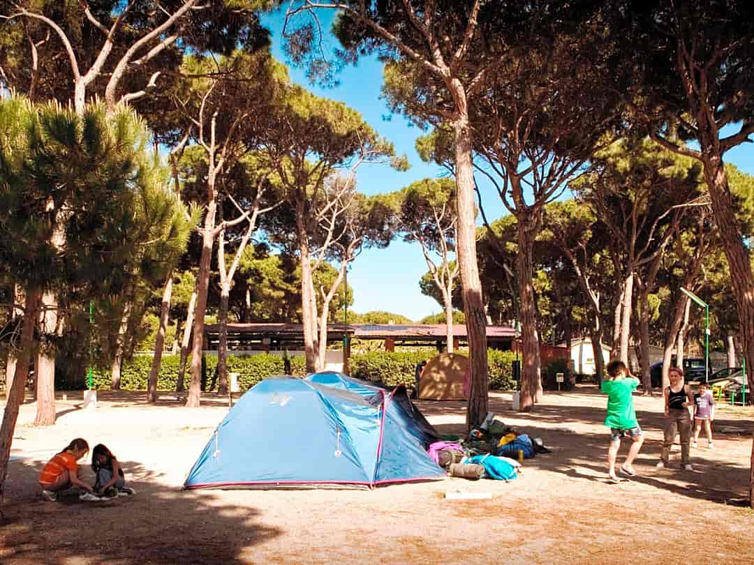 Camping Estrella De Mar: Tent pitches