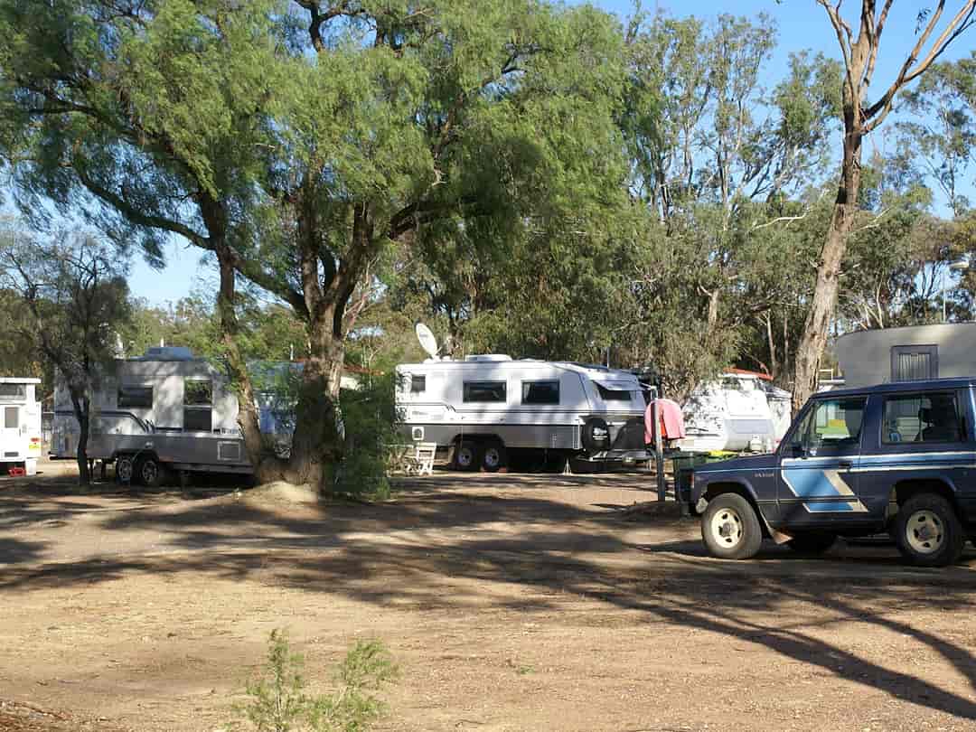 Inglewood Caravan Park: Shaded pitches