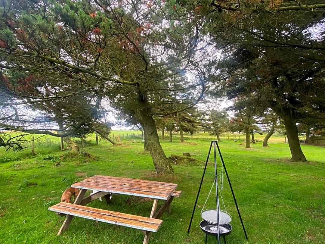 High Paradise Farm: Each pitch gets a picnic bench and firepit