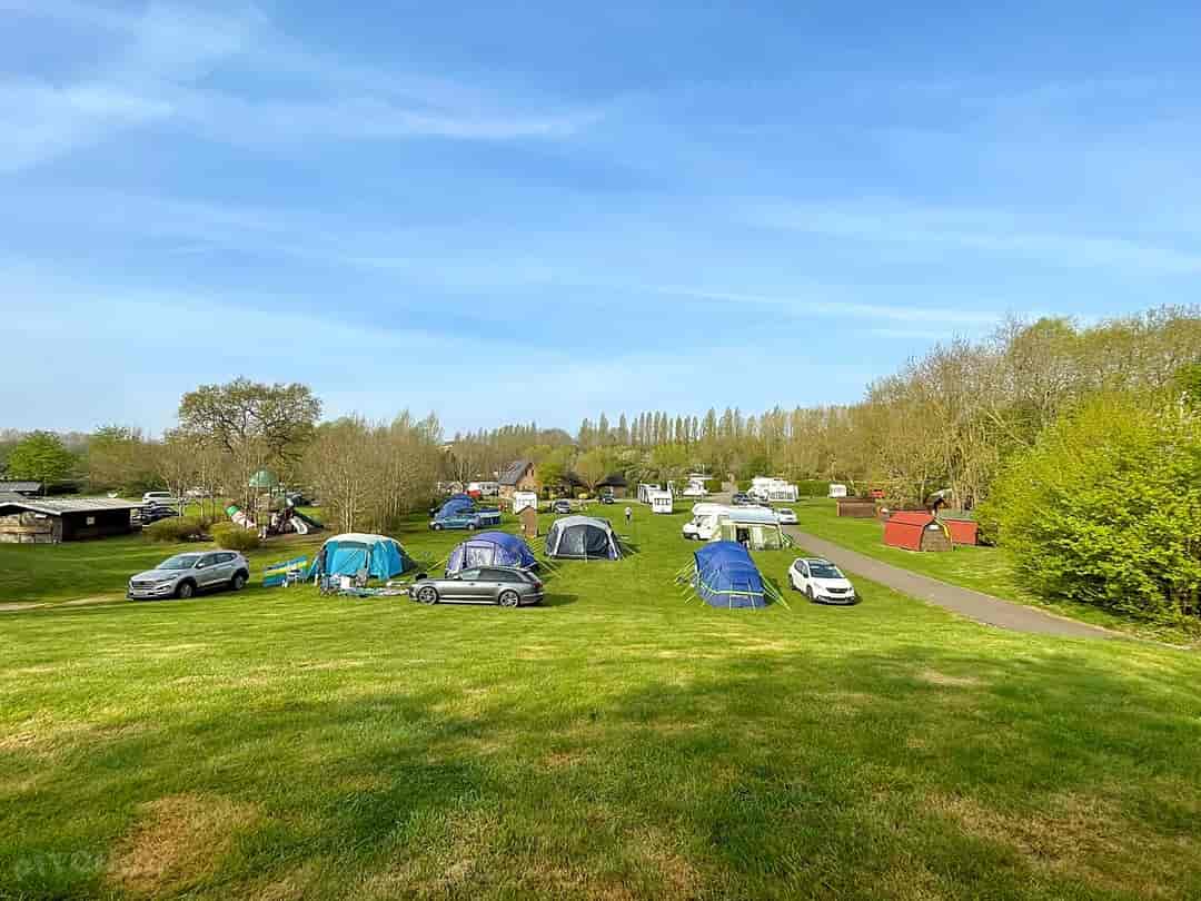 Gulliver's Meadow Campsite: Grass pitches