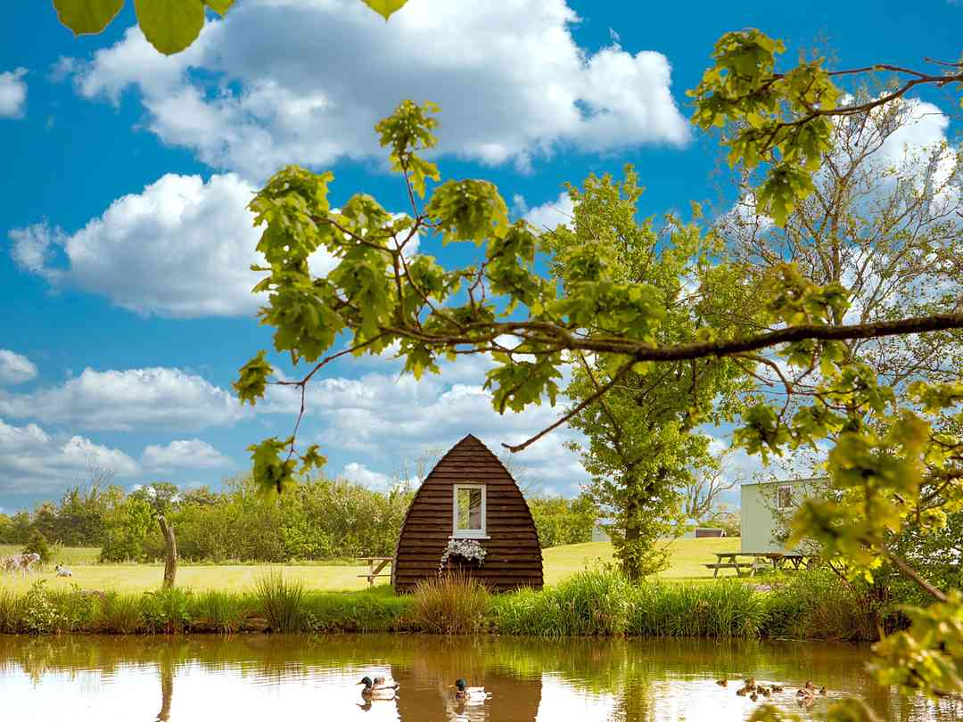 Poplar Grove Farm Caravan Park (фото добавлено менеджером 18.07.2025) Poplar Grove Farm Caravan Park (фото добавлено менеджером 18.07.2025)