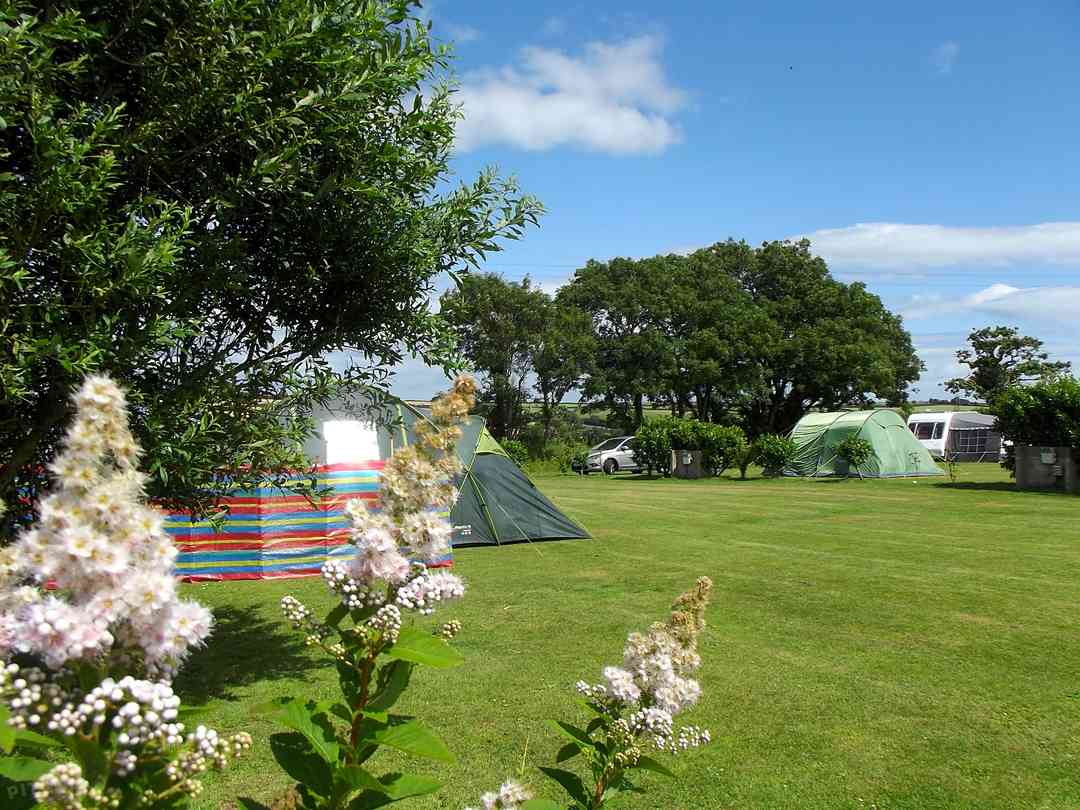 Meilleurs Campings Angleterre Du Sud Ouest 2020 Reservez 364 Campings Sur Pitchup