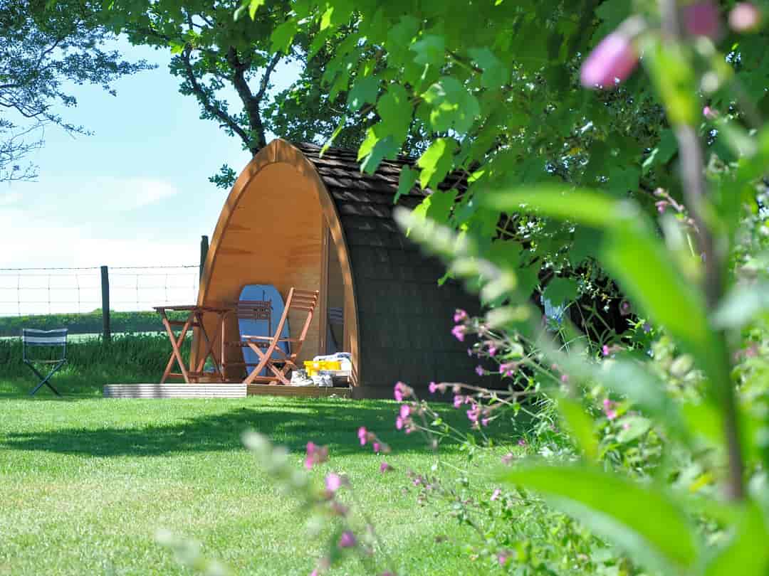 Woodovis Park: The camping pod