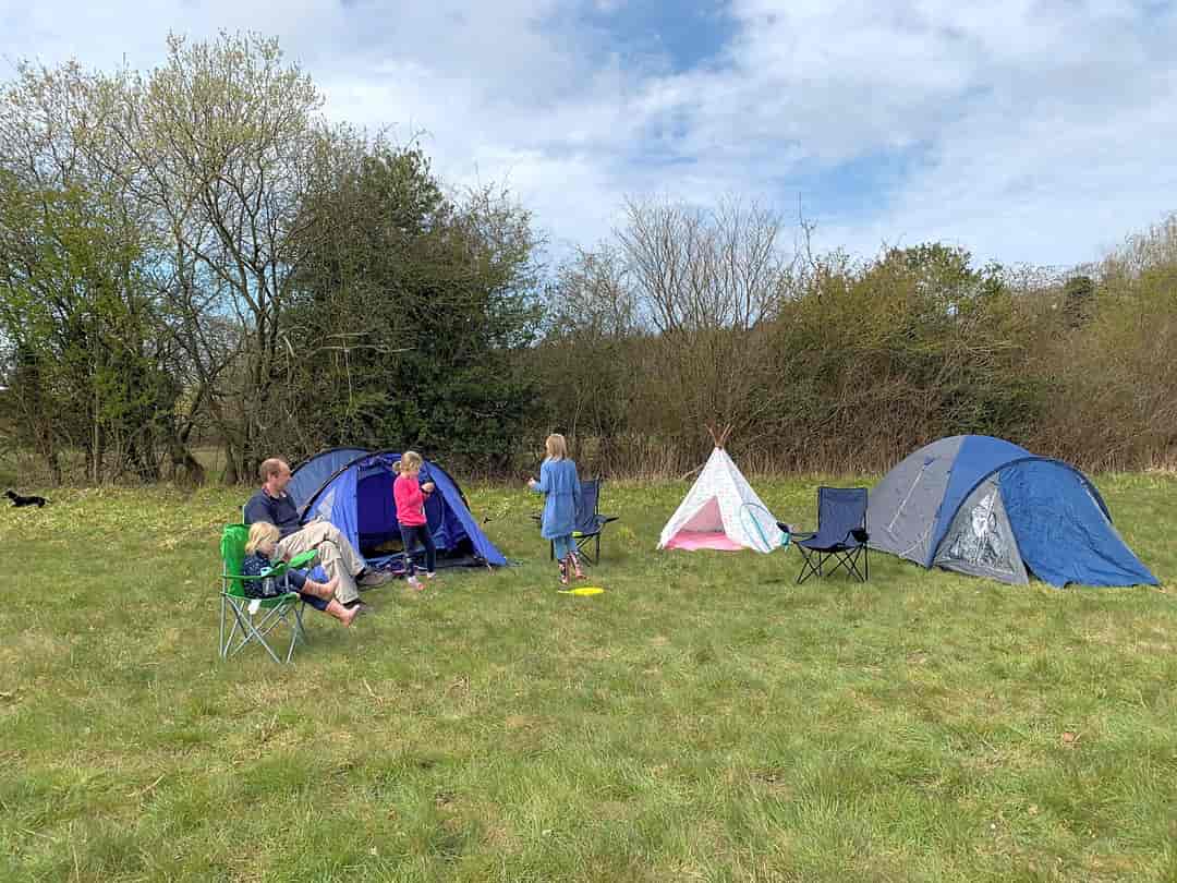 Barley Fields Camping