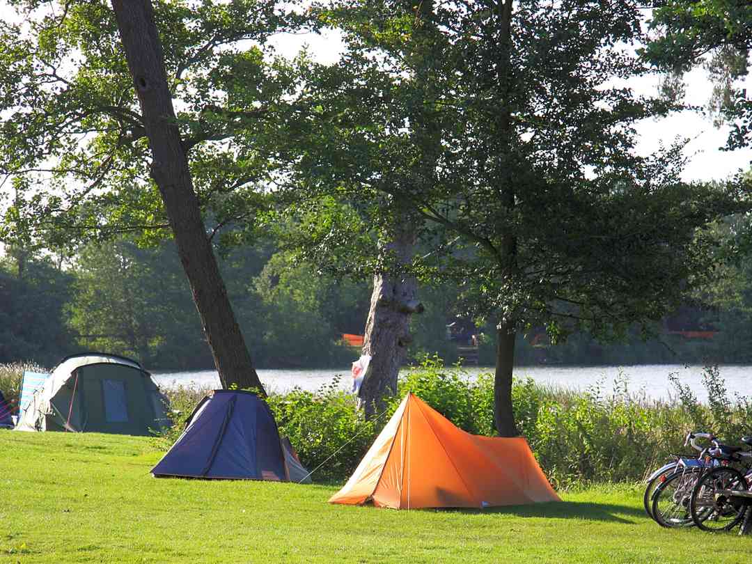 Campsites In Essex 2022 From 10 Nt Pitchup