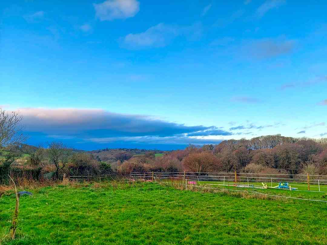 Prickly Post (photo ajoutée par le gestionnaire le 12 mai 2025)