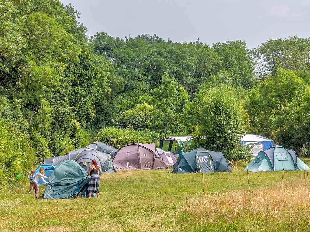 Camping at The Fold: Tents at the site (photo added by manager on 24/08/2023)
