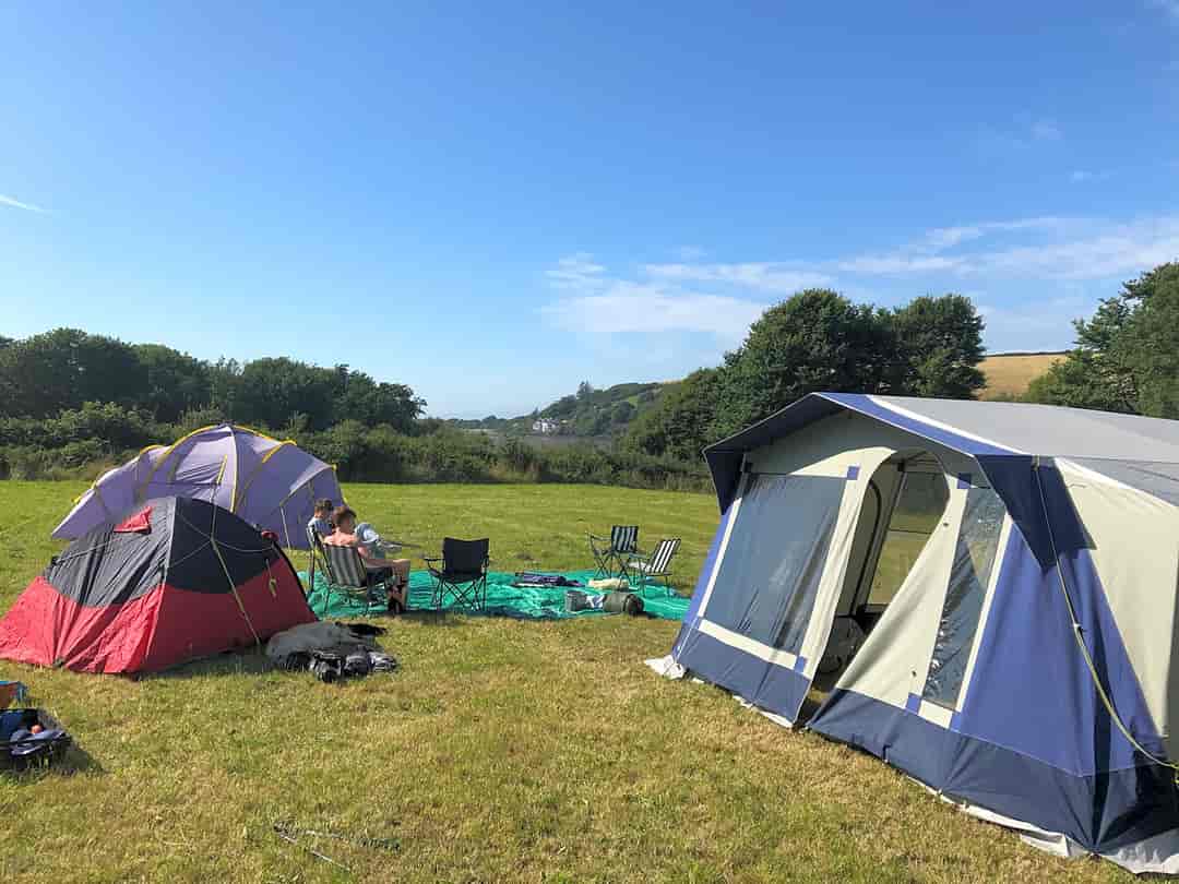 Carningli Campsite: Top field pitches and view