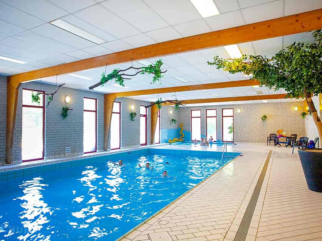 EuroParcs De Hooge Veluwe: Indoor pool