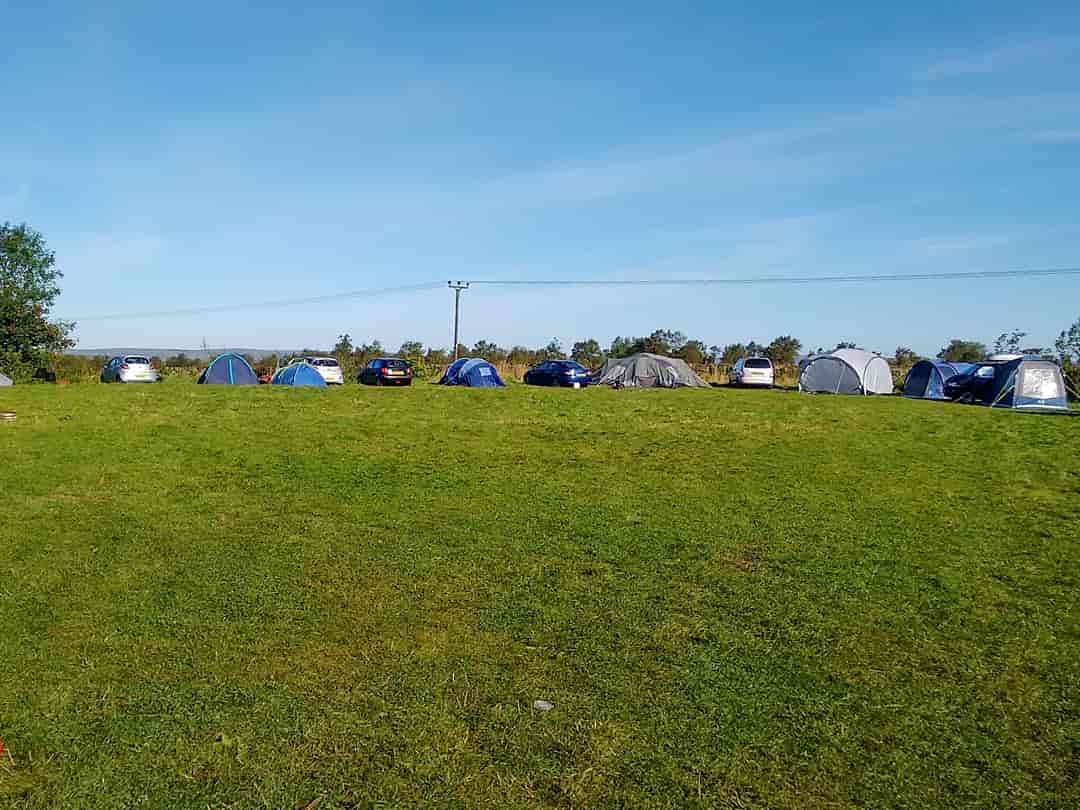 Aarons Campsite: Grass pitches