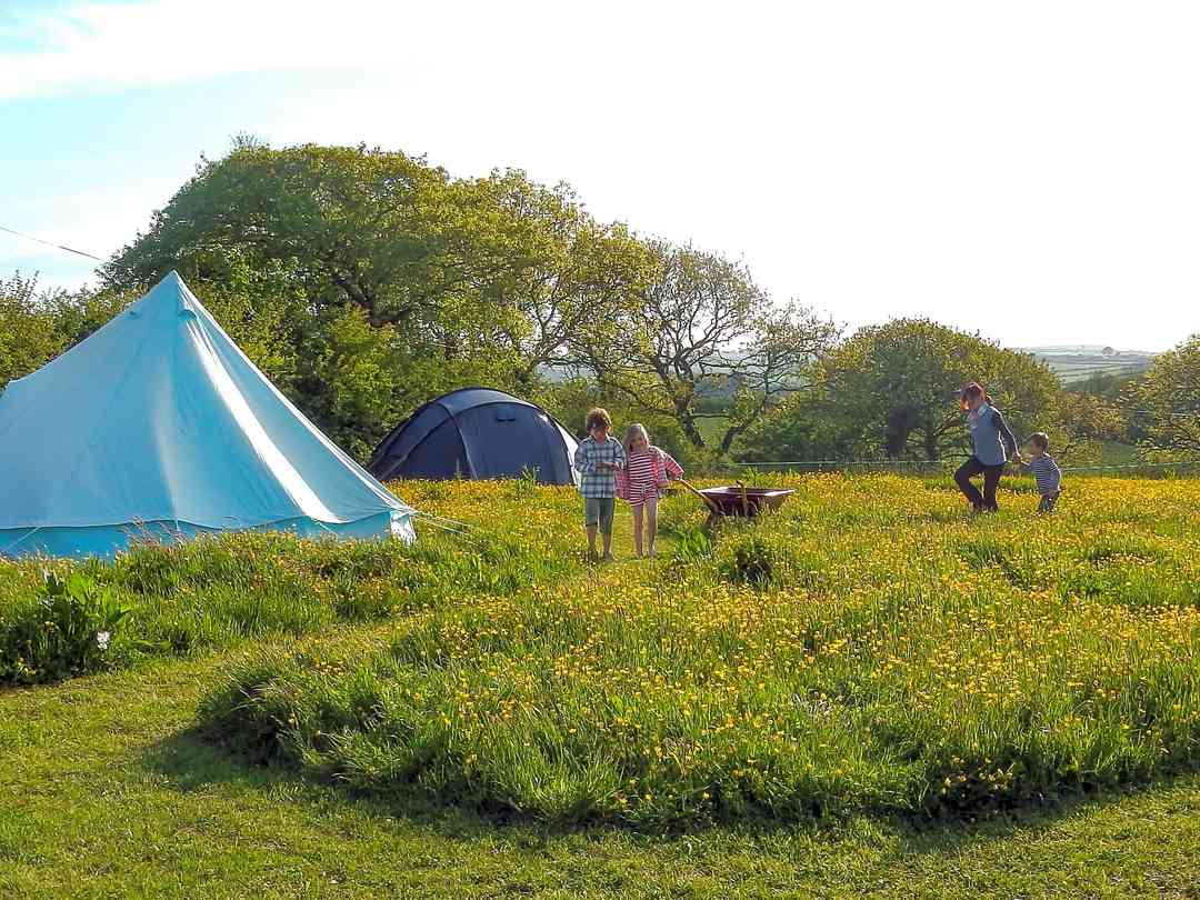 Bakesdown Farm: Long grass between pitches