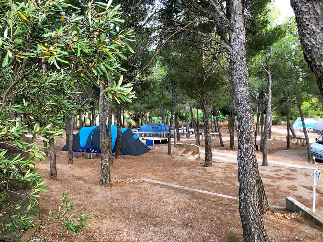 Camping Le Bois de Pins: Visitor image of the under the pines pitches