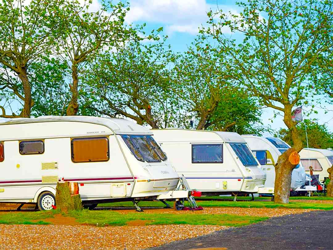 Olive Tree Caravan and Camping Park