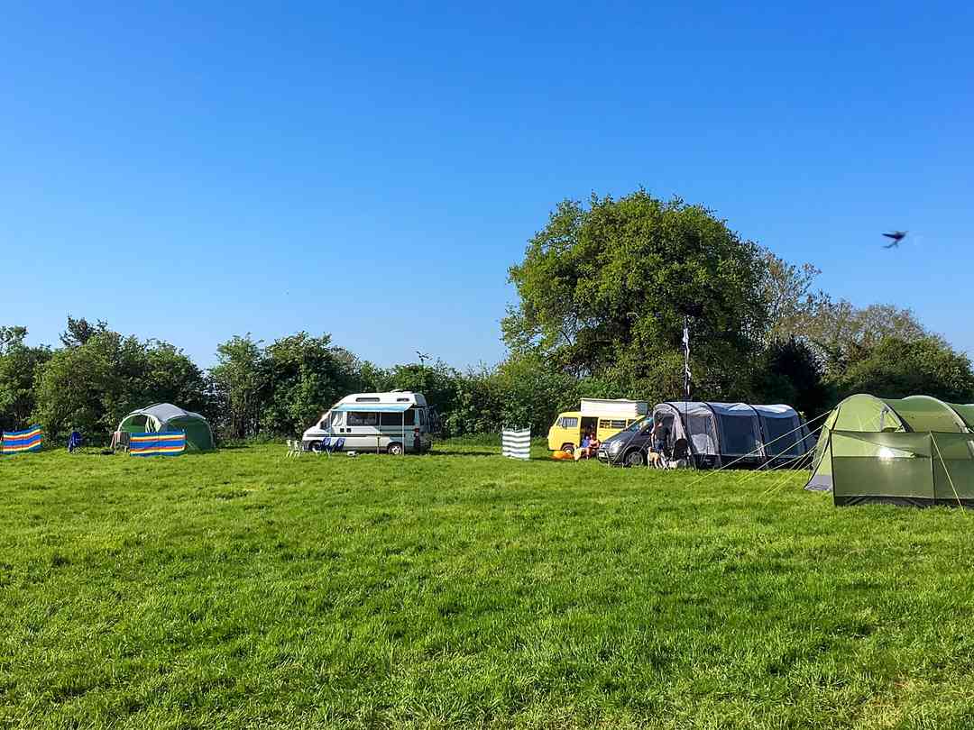 The Bull's Head: Summer's here at last (photo added by manager on 05/09/2022)